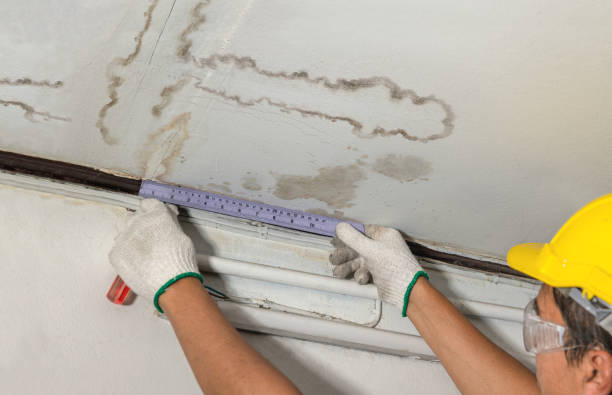 Reliable Mold Remediation contractor in Cleveland, OK by Local Water Damage Repair